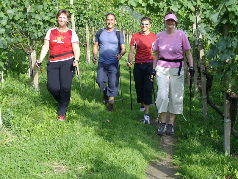 16_Malerischer_Wingertweg.jpg